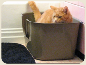 Junior aligning lengthwise and thinking